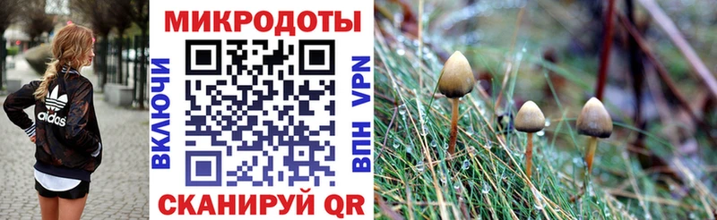 Псилоцибиновые грибы Magic Shrooms  как найти наркотики  Среднеколымск 